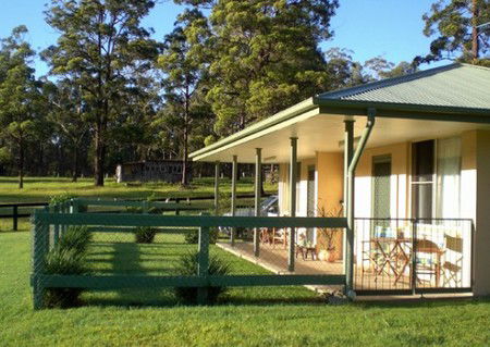 Neds Bed Horse O Tel - Accommodation Brunswick Heads 1