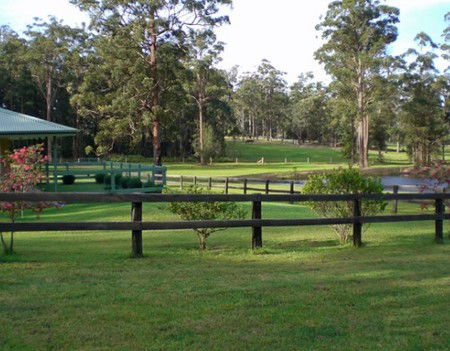 Neds Bed Horse O Tel - Accommodation Brunswick Heads 2