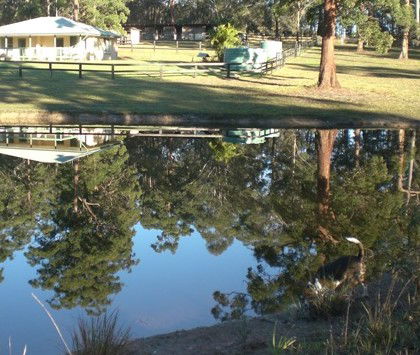 Neds Bed Horse O Tel - Accommodation Brunswick Heads 4