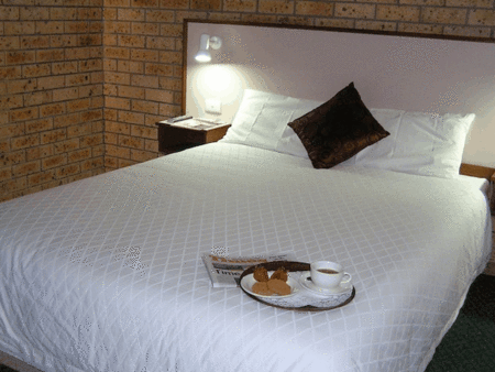 Comfort Inn Marco Polo - Accommodation Brunswick Heads 3