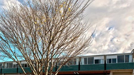 St Helens Bayside Inn - Accommodation Brunswick Heads 1