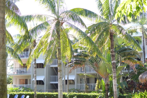 Cairns Beach Resort - Accommodation Brunswick Heads 1