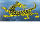 Dragon Phoenix Motel amp Restuarant - Accommodation Brunswick Heads