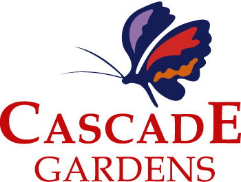Q Resorts Cascade Gardens  - Accommodation Brunswick Heads 0