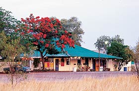 Wauchope Hotel And Roadhouse - Accommodation Brunswick Heads 0