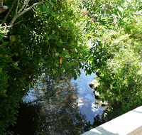 Mole Creek Hotel - Accommodation Brunswick Heads