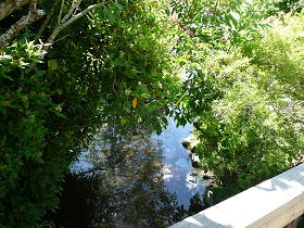 Mole Creek Hotel - Accommodation Brunswick Heads 0