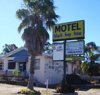 Blackboy Tree Motel - Accommodation Brunswick Heads