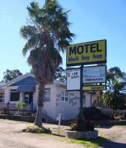 Blackboy Tree Motel - Accommodation Brunswick Heads 0