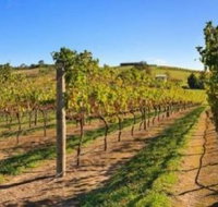 DeVine Escape - Accommodation Brunswick Heads