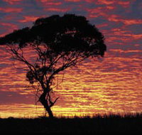 Kimba Caravan Park amp Motel - Accommodation Brunswick Heads