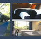 The Albany - Accommodation Brunswick Heads