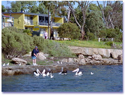 Almonta Holiday Apartments - Accommodation Brunswick Heads 0