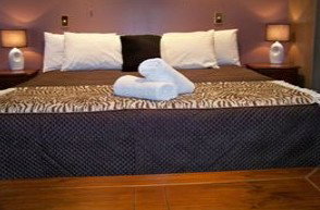 Bohemia Resort Cairns - Accommodation Brunswick Heads 1