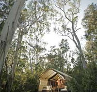 Paperbark Camp - Accommodation Brunswick Heads