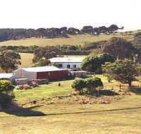 Sun Valley Eco Farm - Accommodation Brunswick Heads