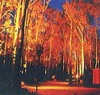 Dwellingup Chalet amp Caravan Park - Accommodation Brunswick Heads