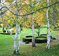 Villarett Gardens - Accommodation Brunswick Heads