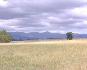 Sherwoods Cottage Farmstay - Accommodation Brunswick Heads 0