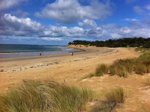 Beachside Accommodation Torquay - Accommodation Brunswick Heads 8