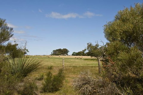 Ficifolia Lodge - Accommodation Brunswick Heads 4