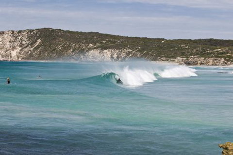 Ficifolia Lodge - Accommodation Brunswick Heads 5