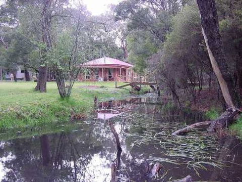 Kangaroo Gully Cottage - Accommodation Brunswick Heads 0