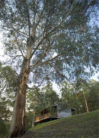 Icy Creek VIC Accommodation Brunswick Heads