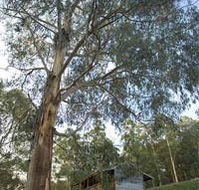 Outpost Restaurant - Accommodation Brunswick Heads