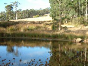 Kiah Nunyara Accommodation - Accommodation Brunswick Heads 0