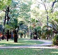 Carnarvon Gorge Wilderness Lodge - Accommodation Brunswick Heads