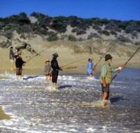 Flippers Beachouse - Accommodation Brunswick Heads