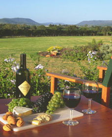 Tranquil Vale Vineyard Cottages - Accommodation Brunswick Heads 0