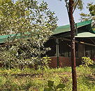 Arnhemland Barramundi Nature Lodge - Accommodation Brunswick Heads