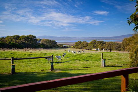 Coastal View Cabins - Accommodation Brunswick Heads 9