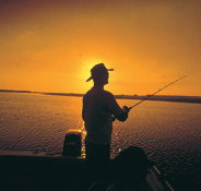 Point Stuart Wilderness Lodge - Accommodation Brunswick Heads