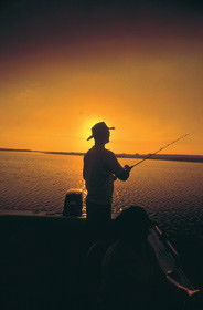 Point Stuart Wilderness Lodge - Accommodation Brunswick Heads 0