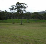 Mt White Lodge - Accommodation Brunswick Heads