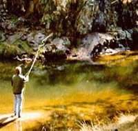 Markdale Homestead - Accommodation Brunswick Heads