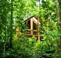 Fur'N'Feathers Rainforest Tree Houses - Accommodation Brunswick Heads
