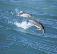 Seachange - Accommodation Brunswick Heads