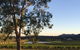Estate Tuscany - thumb 1
