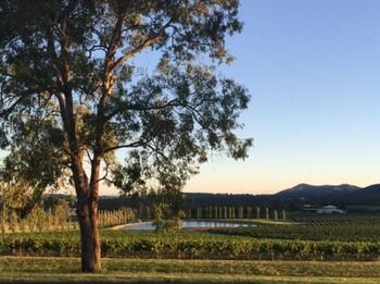 Estate Tuscany - Accommodation Brunswick Heads 1