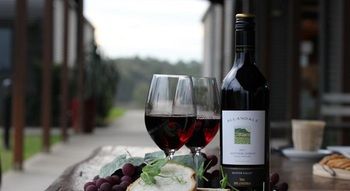 Estate Tuscany - Accommodation Brunswick Heads 11