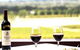 Estate Tuscany - thumb 12