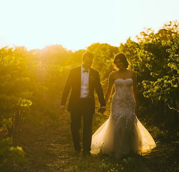 Estate Tuscany - Accommodation Brunswick Heads 17