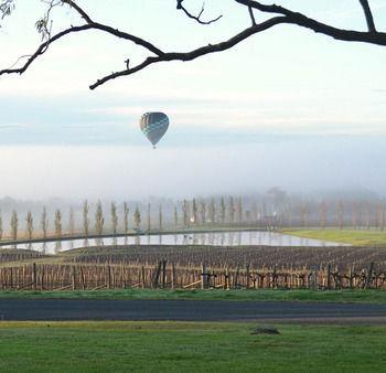 Estate Tuscany - Accommodation Brunswick Heads 20