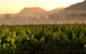 Estate Tuscany - thumb 21