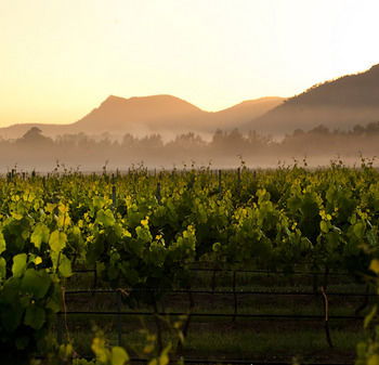 Estate Tuscany - Accommodation Brunswick Heads 21