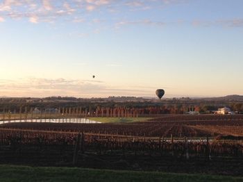 Estate Tuscany - Accommodation Brunswick Heads 26